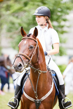 Young rider girl on bay horse after equestrian competition