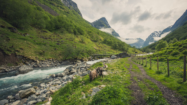 Scenic view of the fjord, photo taken from the Undredal land. Summer in Norway.
