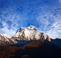 Dhaulagiri Peak - view from Poon Hill, Nepal Himalaya