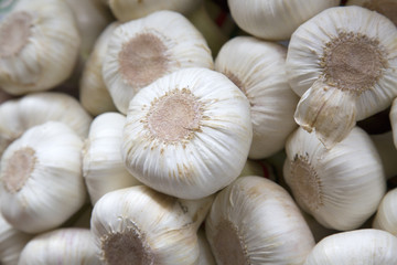 Garlic for Sale on Market Stall, Bologna