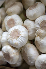 Garlic for Sale on Market Stall, Bologna