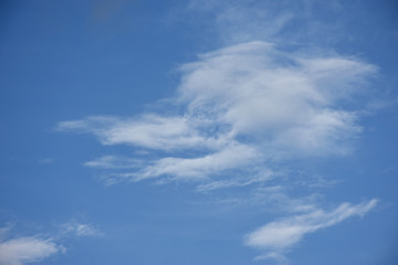 不思議なかたち・青空と雲「空想・雲のモンスター（怪鳥などの顔のイメージ）」睨みつける、鳴く、不思議な存在感などのイメージ