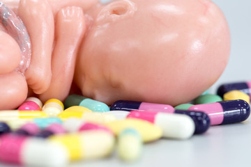 Embryo model, fetus and  medicine for classroom education.	