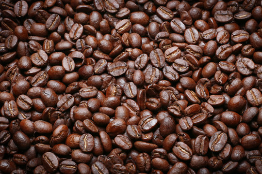  The Roasted coffee beans image closeup