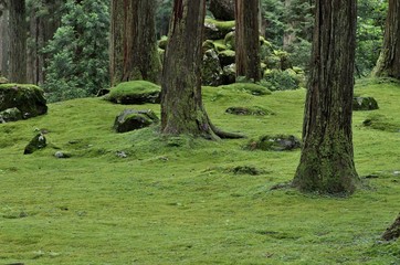福井県勝山市の苔が有名な平泉寺