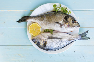 Fresh raw sea bream  fish with lemon 
