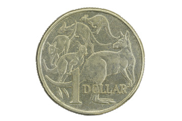 Extreme Macro detail of One Australian Dollar coin isolated on white background - Golden kangaroos