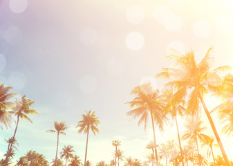 coconut trees over clear sky on day with sun light retro effect image