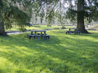 Naklejka premium Picnic Table In the Shade