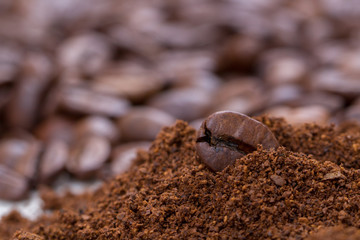 Close-up of coffee bean in ground coffee. 