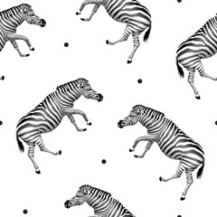 Fototapeta na wymiar Dancing zebra seamless pattern. Wild animal texture design. Striped black and white. Illustration isolated on white background.