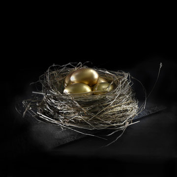 Gold Egg Pension Nest
