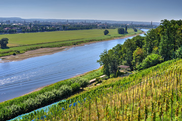 Fototapeta premium Blick über die Elbe auf Dresden