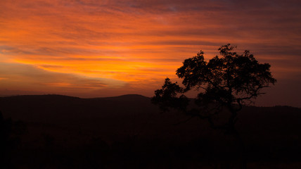 Obraz na płótnie Canvas Africas Morning Sunrise