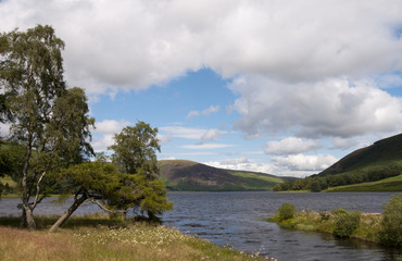 Looking north from the southern shore of St Mary's Loch