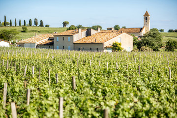 Fototapeta na wymiar Beautiful landscape view on the vineyards in Saint Emilion village near Bordeaux in France
