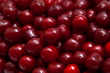 Cherry background