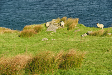 Paesaggio d'Irlanda