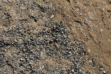 Texture of wet coastal sand with pebbles and shells