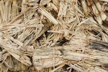 Sugarcane residue