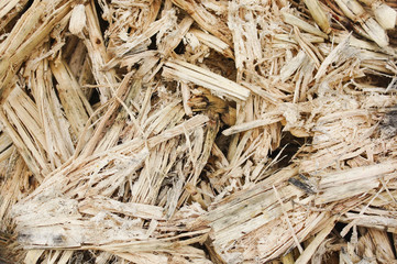 Sugarcane residue