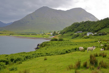Fototapeta na wymiar View from the An Aird peninsula towards the mountain Beinn na Caillich, Isle of Skye, Highlands, Scotland, UK