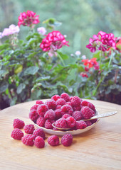 Plate of ripe raspberries on the table. Toned image.