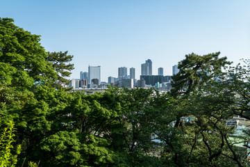 Fototapeta premium 多摩川台公園から見る武蔵小杉のビル群１