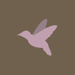 птица в полете