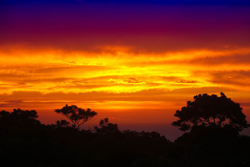 Obraz na płótnie Canvas Sunset likes fire