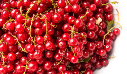Ripe red currants