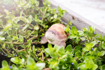 Turtle clay dolls on for garden decor