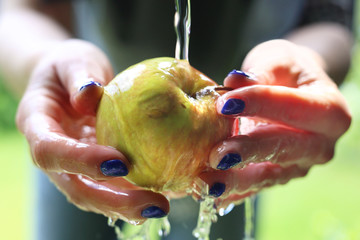 Mycie owoców. Kobieta myje jabłko pod bieżącą wodą. - obrazy, fototapety, plakaty