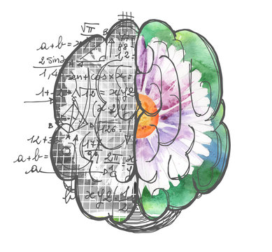 Brain hemispheres uses artwork