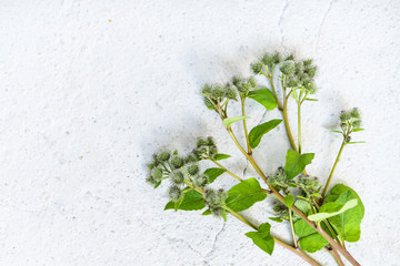 Background with wildflowers © dominikab