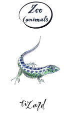 Lizard gecko in watercolor