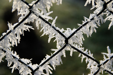 Mesh fence covered with frost with blurred background in the winter