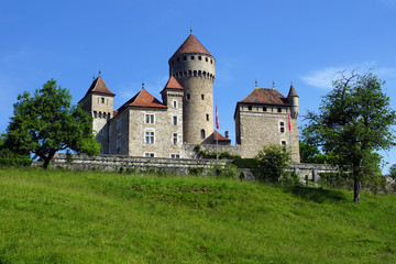 Fototapeta na wymiar Château de Montrottier