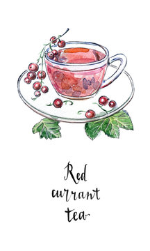 Glass cup of red currant with fresh berries and green leaves in watercolor