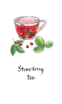 Summer fruit tea with fresh wild strawberries in glass cup, in watercolor