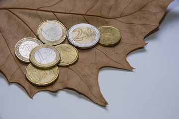 Euro coins on the maple leaf