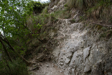 Fototapeta na wymiar Sentiero, Parco Naturale del Conero 