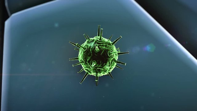 virus penetrates the cell, coronavirus atack the cells, liver disease, virus attack the lungs, the process of infecting cells