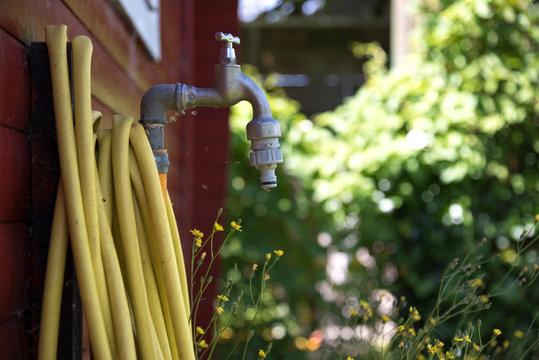 Faucet with yellow garden hose next to red garden shed