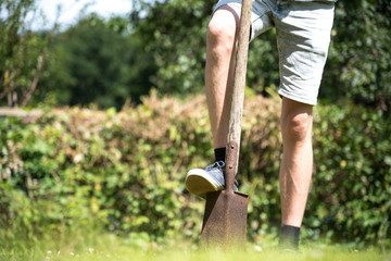 Fototapete bei efototapeten.de bestellen   