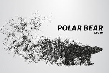 Fototapeta na wymiar Polar bear from the particles. The bear consists of dots and circles. Vector illustration.