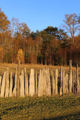 Hardwood Fence on a Meadow