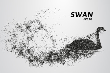 Fototapeta na wymiar Swan of particles. Silhouette of a swan is of little circles.