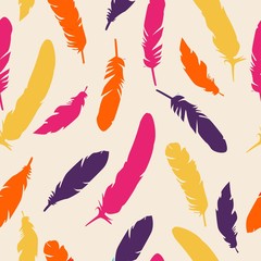 Bird feather silhouette  background