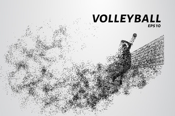 Naklejka na ściany i meble Volleyball, particle divergent composition, vector illustration. Silhouette of a volleyball from particles.